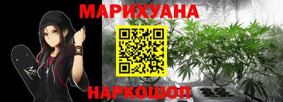 сатива Бузулук