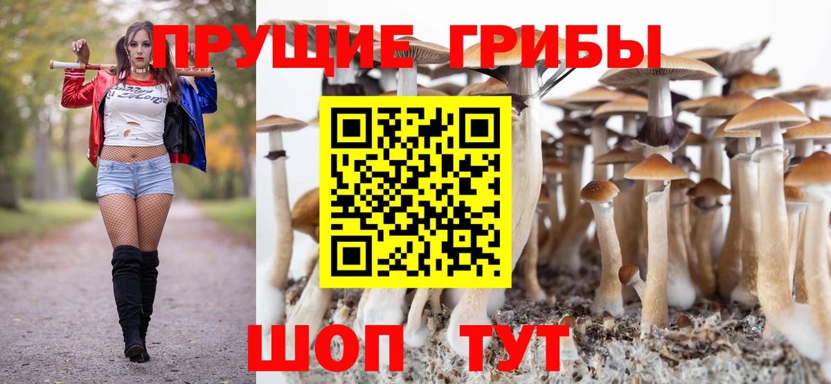Галлюциногенные грибы прущие грибы  где найти наркотики  Лосино-Петровский  Галлюциногенные грибы мухоморы  Вход с VPN 